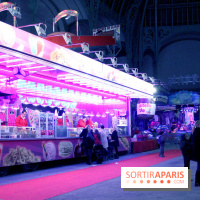 Jours de Fête 2011 au Grand Palais