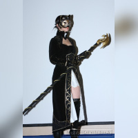 Salon Paris Manga & Sci-Fi Show, cosplay