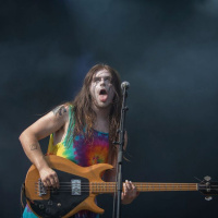 Rock en Seine 2015 - Fuzz