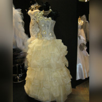 Salon du Mariage couture, Mariage au Salon 2012