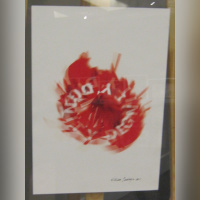 exposition dessine-moi le Japon, Artcurial, William Sawaya