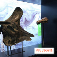 Autour des dinosaures au Palais de la Découverte