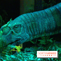 Autour des dinosaures au Palais de la Découverte