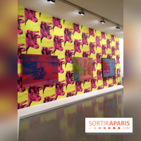 Andy Warhol au MAMVP