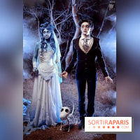 comment se déguiser pour halloween 2015 ?