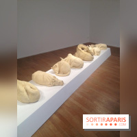 Jitish Kallat à la galerie Templon