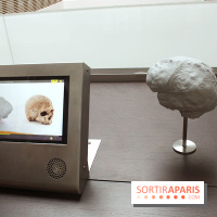 Le nouveau Musée de l'Homme