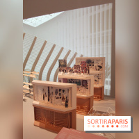 Le nouveau Musée de l'Homme