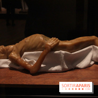 Le nouveau Musée de l'Homme 