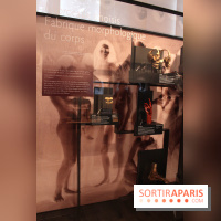 Le nouveau Musée de l'Homme 