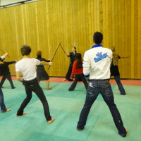 Paris Manga & Sci-Fi Show 2012, Art martiaux