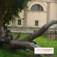 FIAC 2015, le hors-les-murs au Jardin des Plantes