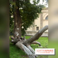 FIAC 2015, le hors-les-murs au Jardin des Plantes