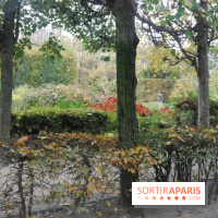 Rodin, le laboratoire de la création au Musée Rodin