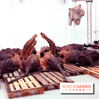 Patrick Roger, le chocolat dans tous ses états