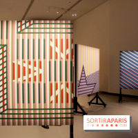 Bentu, l'exposition à la Fondation Louis Vuitton