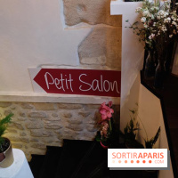 LSD : Les Souris Dansent