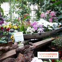 Mille & une orchidées au Jardin des Plantes, les photos