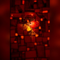 Chaussée d'Antin, Espagne, Grands Boulevards, Lafayette, Latino, Paris, Paris Bodega, Salsa