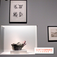 Carambolages au Grand Palais