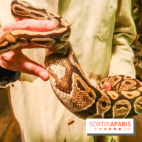 Comptoir General "Le Bon Voyage"