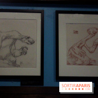 Le studio Blue Sky, les photos de Musée Art Ludique