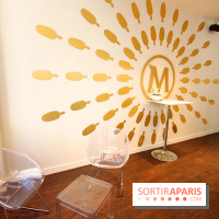 Le Bar à glace Magnum à Paris