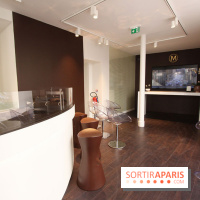 Le Bar à glace Magnum à Paris