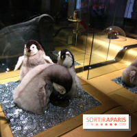 Exposition BéBés animaux à la Cité des Sciences, les photos