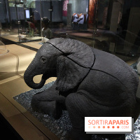 Exposition BéBés animaux à la Cité des Sciences, les photos