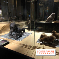 Exposition BéBés animaux à la Cité des Sciences, les photos