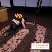 Exposition BéBés animaux à la Cité des Sciences, les photos