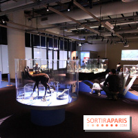 Exposition BéBés animaux à la Cité des Sciences, les photos