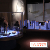 Exposition BéBés animaux à la Cité des Sciences, les photos