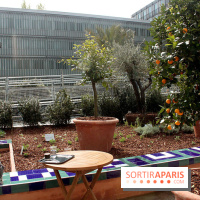 Jardin d'Orient à l'Institut du Monde Arabe