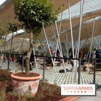 Jardin d'Orient à l'Institut du Monde Arabe