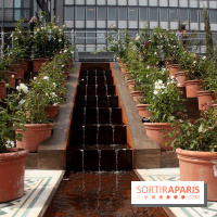 Jardin d'Orient à l'Institut du Monde Arabe