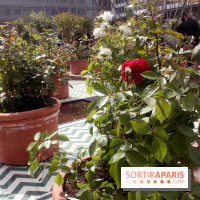 Jardin d'Orient à l'Institut du Monde Arabe