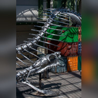 Monumenta 2016, Huang Yong Ping au Grand Palais