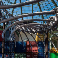 Monumenta 2016, Huang Yong Ping au Grand Palais