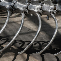 Monumenta 2016, Huang Yong Ping au Grand Palais