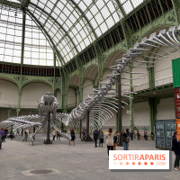 Monumenta 2016 au Grand Palais