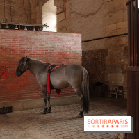 La Galerie des Carrosses à Versailles
