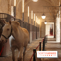 La Galerie des Carrosses à Versailles