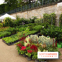 Salon Jardins Jardin aux Tuileries 2016