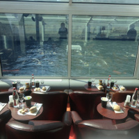 Paris en seine Brunch, Vog en seine 2012