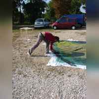 techno, parade, techno parade 2008