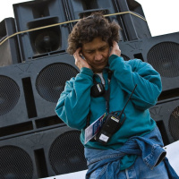 techno, parade, techno parade 2008