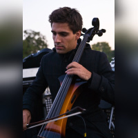 techno, parade, techno parade 2008