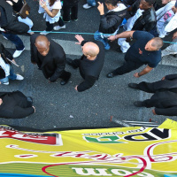 techno, parade, techno parade 2008